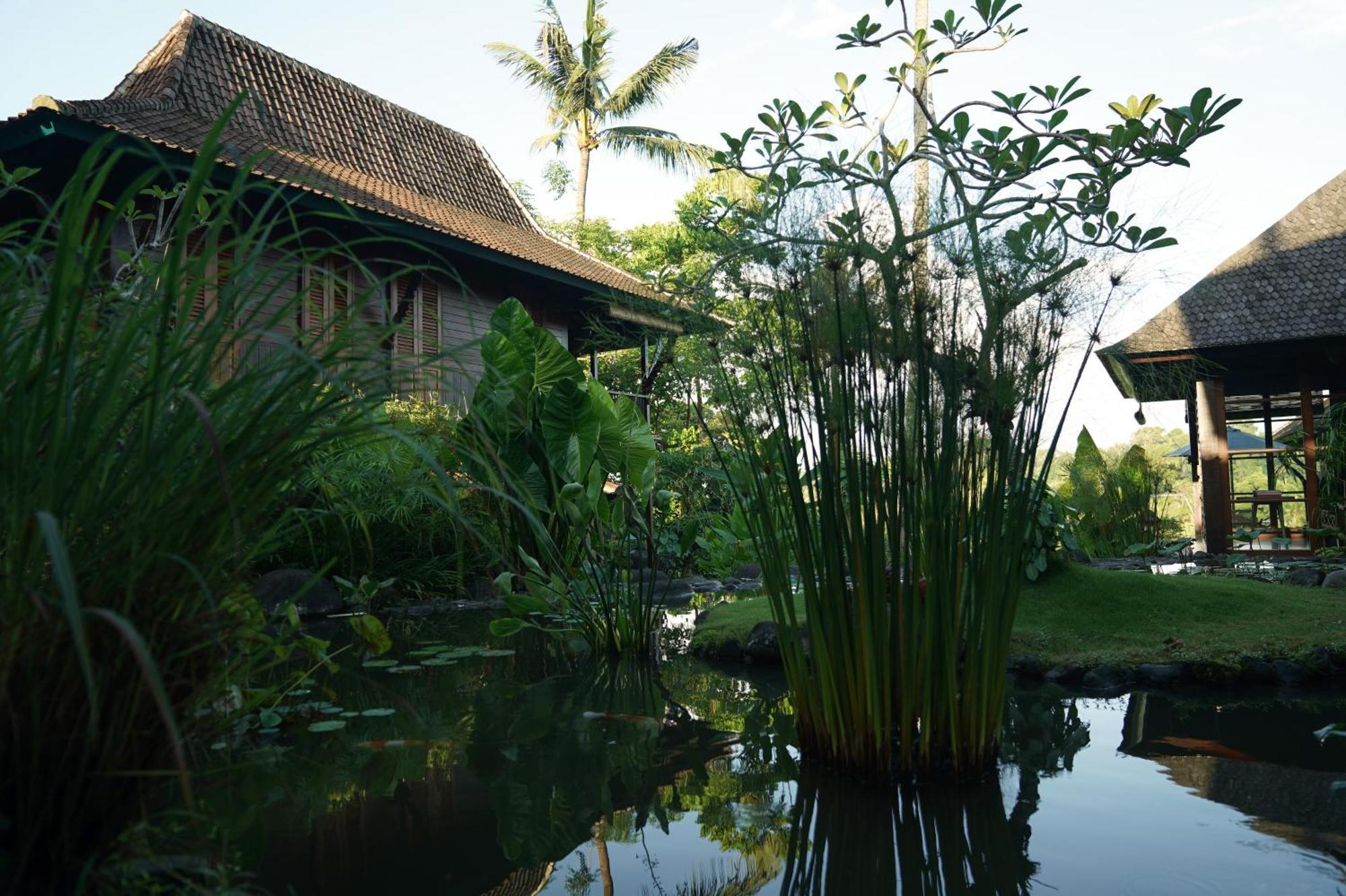 Villa Amaru Ubud  Bagian luar foto